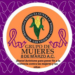 Directorio de organizaciones de la sociedad civil 317089056 2131871333835103 2798464759851267773 n