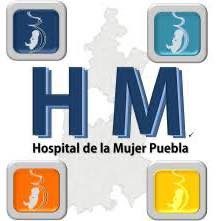 Directorio de organizaciones de la sociedad civil 330468218 727510592433059 1209773858021954123 n