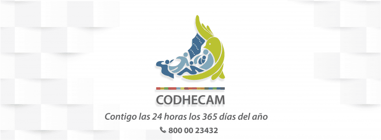 Directorio de organizaciones de la sociedad civil 7 Directorio de organizaciones de la sociedad civil FOTO PERFIL julio 2022 Mesa de trabajo 1 Mesa de trabajo 1 768x284 1