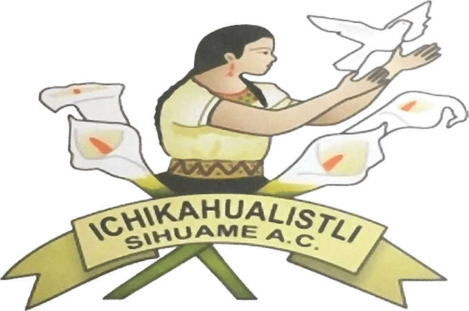 Directorio de organizaciones de la sociedad civil 4 Directorio de organizaciones de la sociedad civil logo ichikahualistlipngRDAMDAID20455542