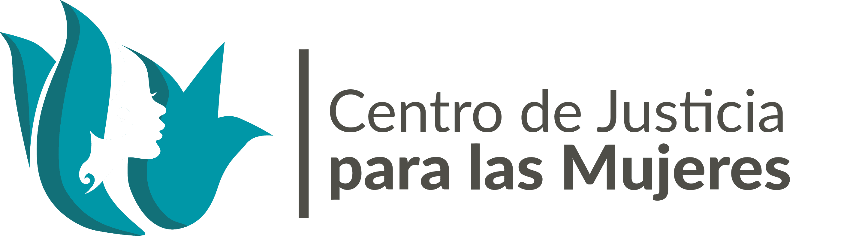 Directorio de organizaciones de la sociedad civil 8 Directorio de organizaciones de la sociedad civil logoCJM