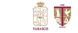 Directorio de organizaciones de la sociedad civil 7 Directorio de organizaciones de la sociedad civil logo fge